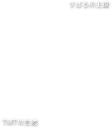 TMTの主鏡 口径30m